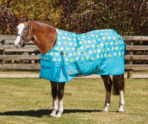 WeatherBeeta ComFITec Essential Standard Neck Sheet - 72 in Chick and Daisy 