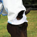 Sweet Itch Shield Combo Neck Sheet, White/Blue - 72 in  