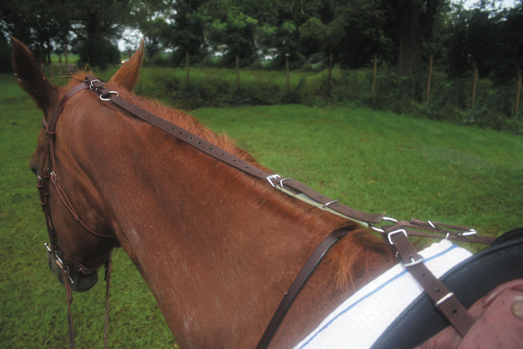 Anti-Grazing Strap - Brown  