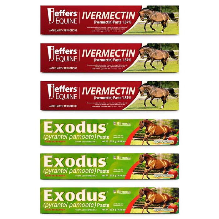 Jeffers 1 Year Horse Deworming Kit jeffers-1-year-horse-deworming-kit