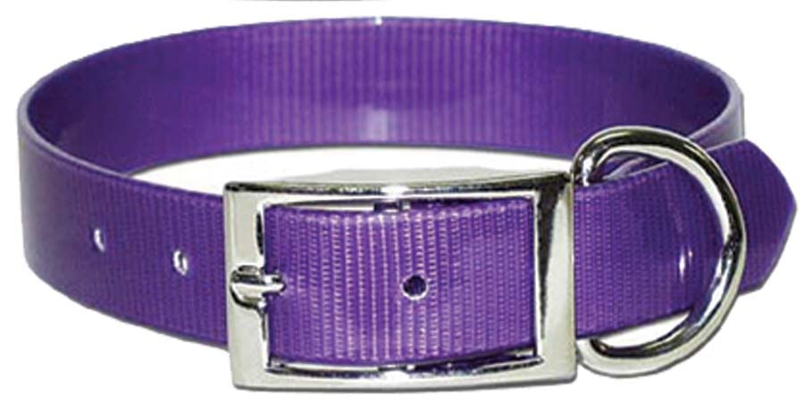 Sunglo Dog Collars - Purple 1"x 23" 