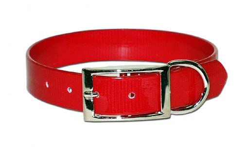 Sunglo Dog Collars - Red 1"x 30" 