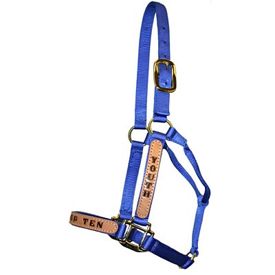 Personalized Nylon Halter, Standard (800-1100 lb) by Supreme Western - Blue  