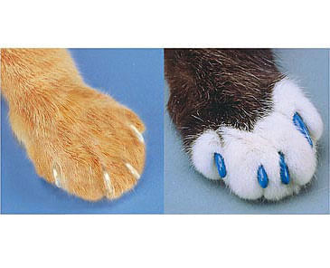 The Original Soft Paws - Nail Cap Kit for Cats - Blue Small 