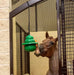 12' KONG Equine Hanging Set w/ Treat Ring, Green - Jeffers - Horse Supplies > Horse Treats