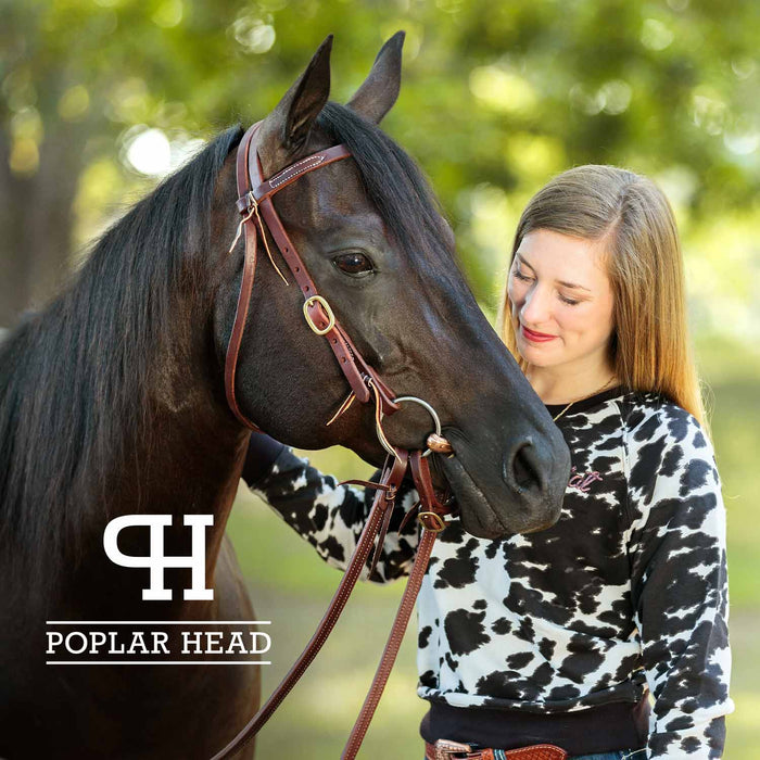 Poplar Head Saddlery Oiled Harness Leather Browband Headstall w/ Waterloop Ends - Brown  