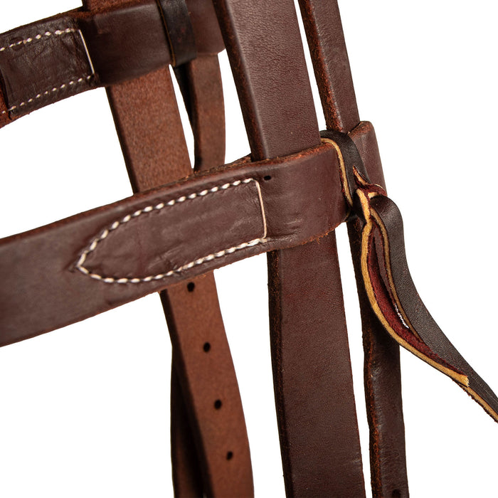 Poplar Head Premium Oiled Harness Leather 1" Wide Browband Headstall - Brown  