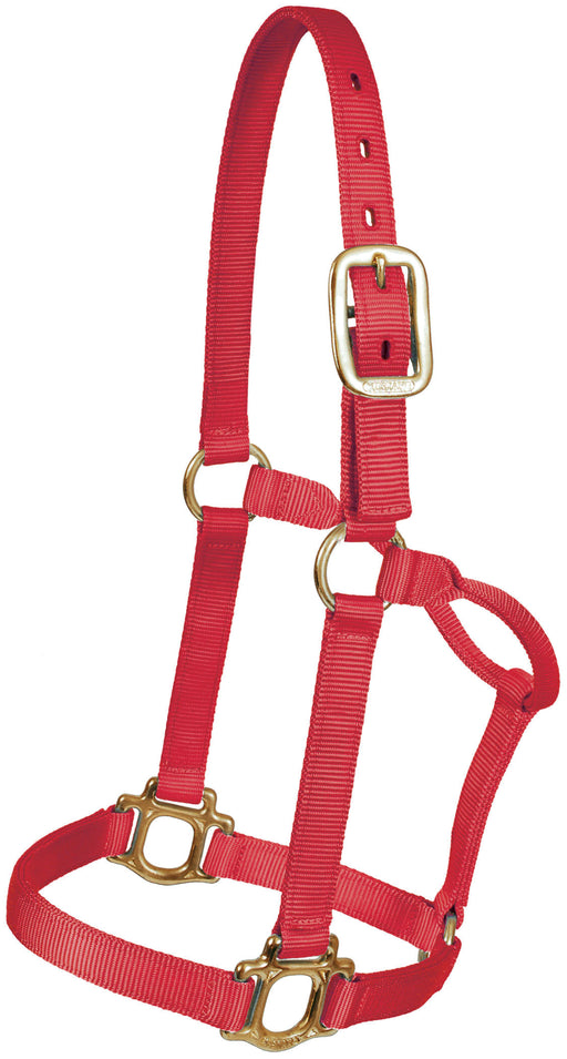 Traditional Nylon Halter, Yearling - Yearling  