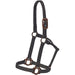 Mustang Nylon Halter with Antique Dot Hardware Size Horse