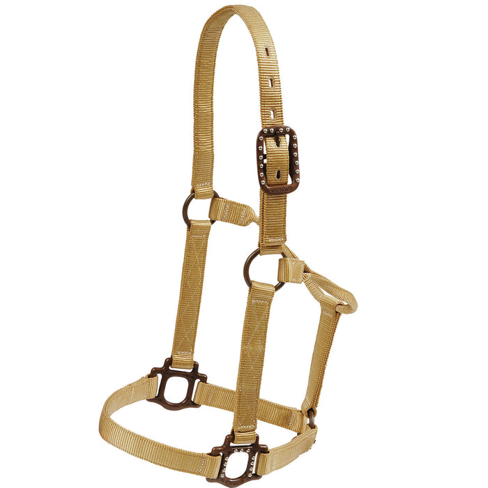 Mustang Nylon Halter with Antique Dot Hardware Size Horse