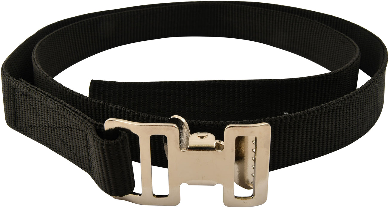 Black Poly Gate Strap, 4' L -   