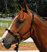 Knotted Training Halter, Yearling -   