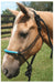 Jeffers Solid Nose Rope Halter - Purple  