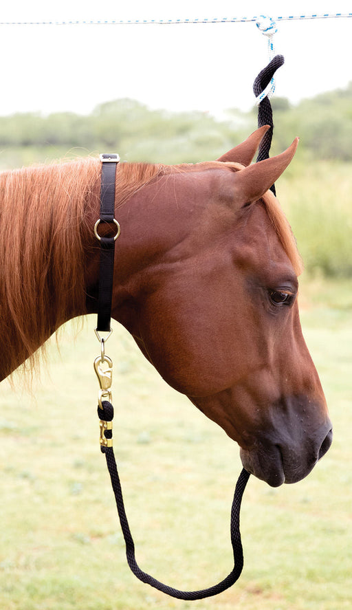 Mustang Horse Neck Collar, 1" - Red  