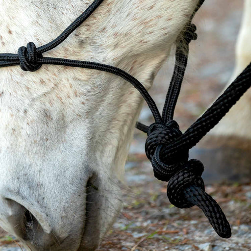 Poly Braided Rope Horse Halter with Lead - Black  