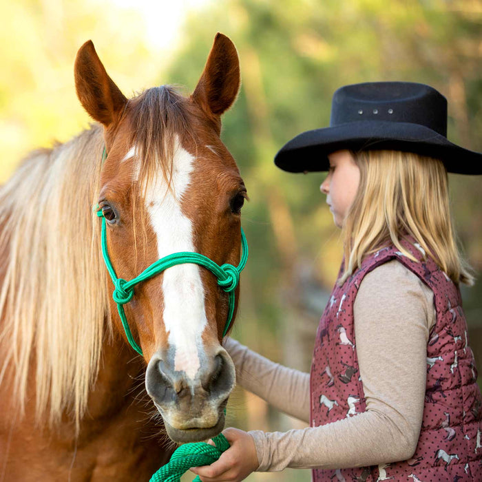 Poly Braided Rope Horse Halter with Lead - Jeffers - Horse Supplies > Horse Tack > Horse Halters