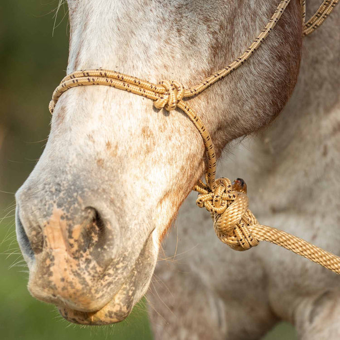 Poly Braided Rope Horse Halter with Lead - Jeffers - Horse Supplies > Horse Tack > Horse Halters