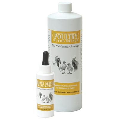 Poultry Nutri-Drench - 4 oz Poultry Nutri-Drench  