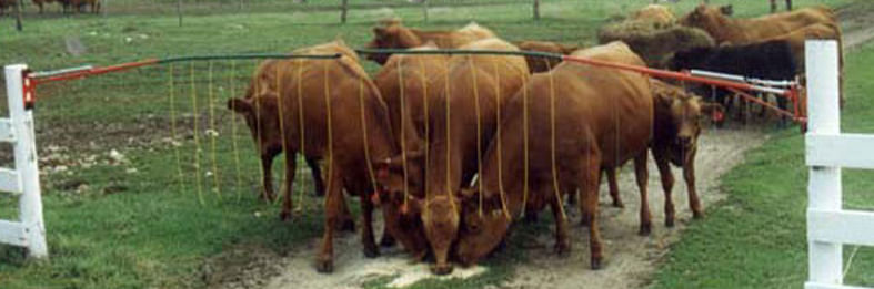 Drive-Thru Electric Adjustable Gate (& Replacement Parts) - Replacement Hose with Streamers, each  