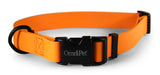 Carnival Collars - Tangerine 3/4" x 14-20" 