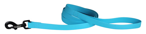 Carnival Leash - Light Blue  