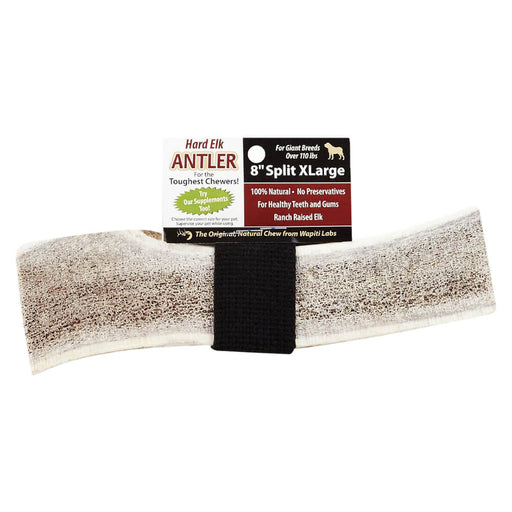 Wapiti Labs Elk Antler Dog Chews, 8", XL Split - Natural8"