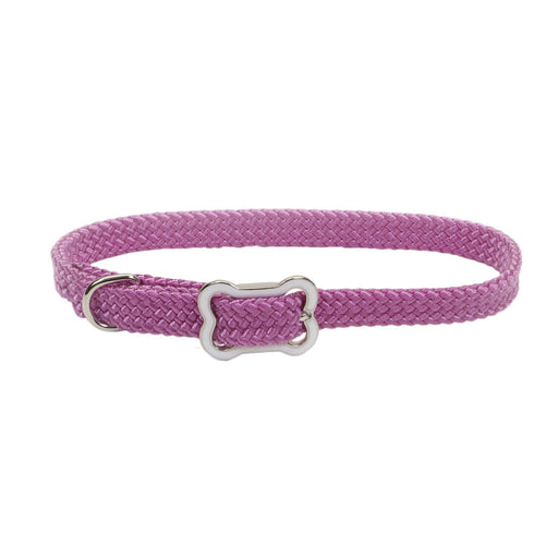 Sunburst Dog Collar with Bone Buckle - Orchid X-Small - 3/8" x 10" 