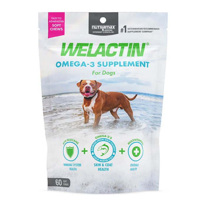 Welactin Daily Omega-3 Supplement For Dogs, 60 Soft Chews - 