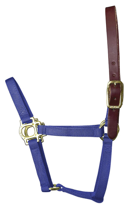 Valhoma Premium Breakaway Nylon Halter with Leather Crown - BlueLarge