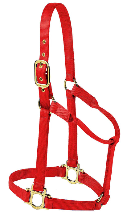 Valhoma Premium Nylon Halter - RedMedium