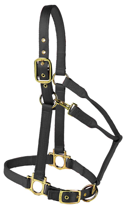 Valhoma Premium Adjustable Nylon Halter - BlackMedium