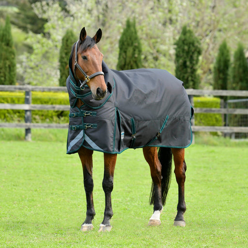 WeatherBeeta ComFITec Plus Dynamic II Detach-a-Neck Turnout Blanket, Medium - 69"