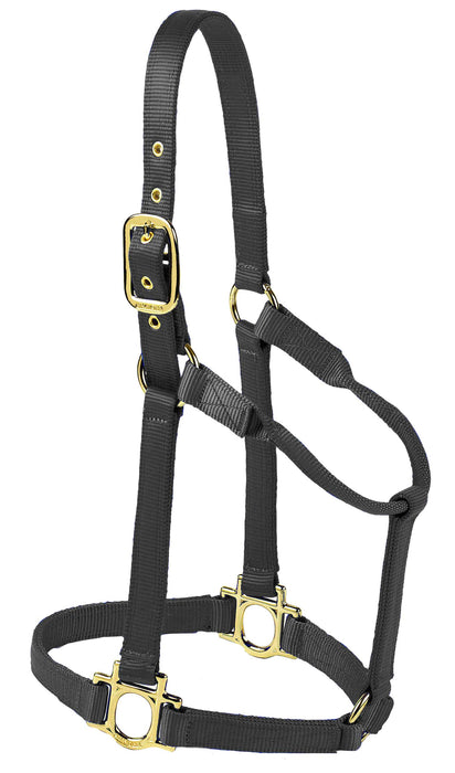 Valhoma Premium Nylon Halter - BlackMedium