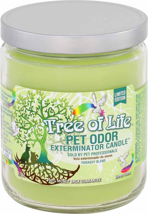 Pet Odor Exterminator Candle, Tree of Life, 13oz -   