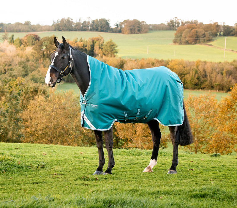 Amigo Bravo 12 Wug, 250 gram Horse Blanket, Storm Green - 84"  