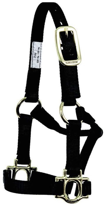 Traditional Nylon Pony Halter - Black  