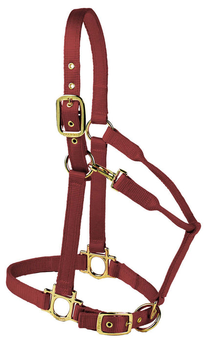 Valhoma Premium Adjustable Nylon Halter - BurgundyLarge