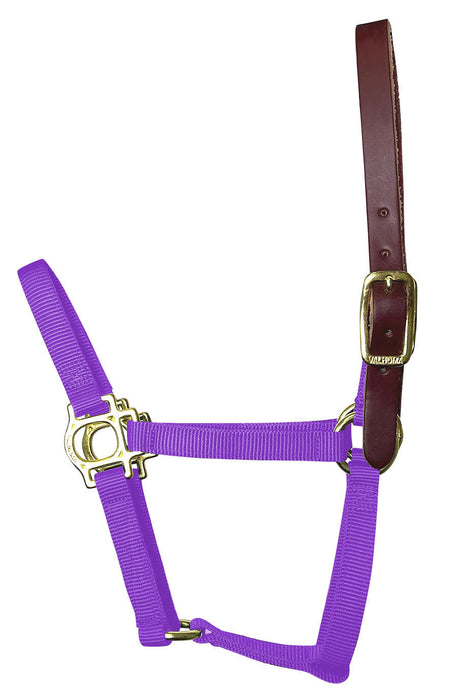 Valhoma Foal & Yearling Premium Breakaway Nylon Halter with Leather Crown - Purple Yearling Purple