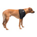 Caldera Pet Therapy Shoulder Wrap with Therapy Gel - Large