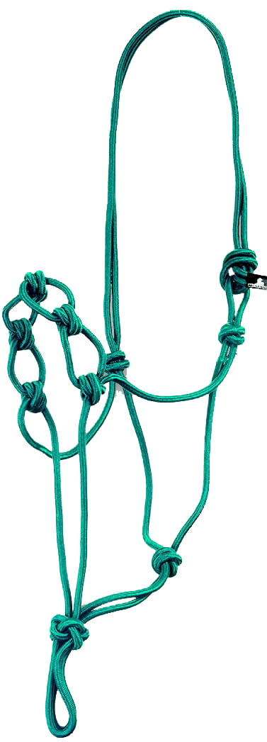 Infinity Knot Rope Halter with Lead Rope - Teal  