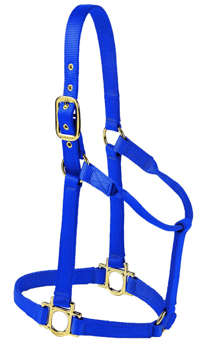 Valhoma Premium Nylon Halter - BlueMedium