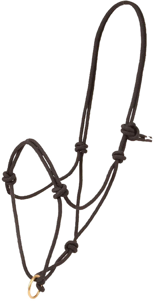 Poly Rope Halter with Brass Plated Lead Ring - 6 Pack  