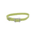 Sunburst Dog Collar with Bone Buckle - Lime Small - 3/8" x 12" 