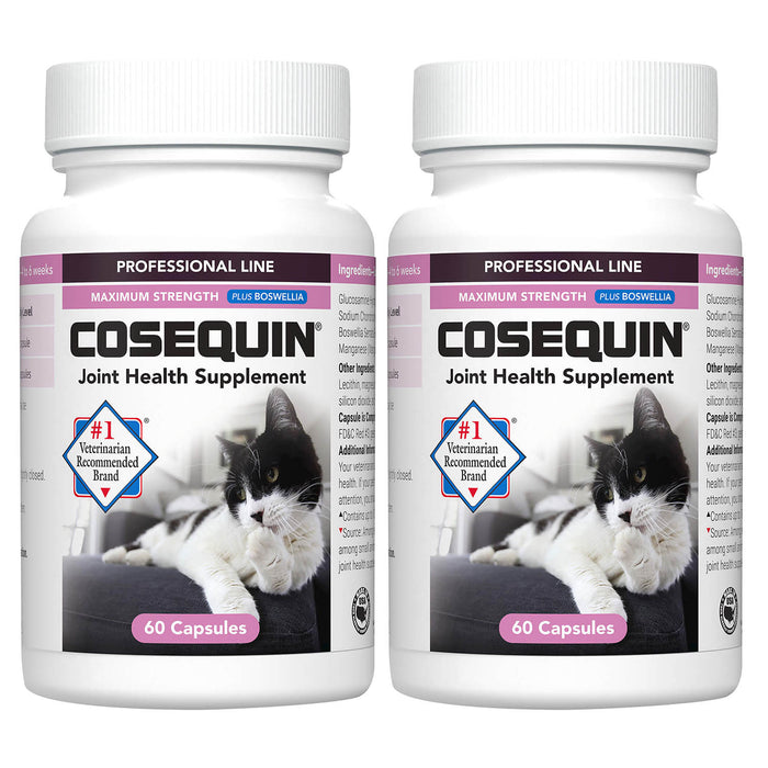 Cosequin for Cats  60 Count Capsule  Professional - 2 Pack