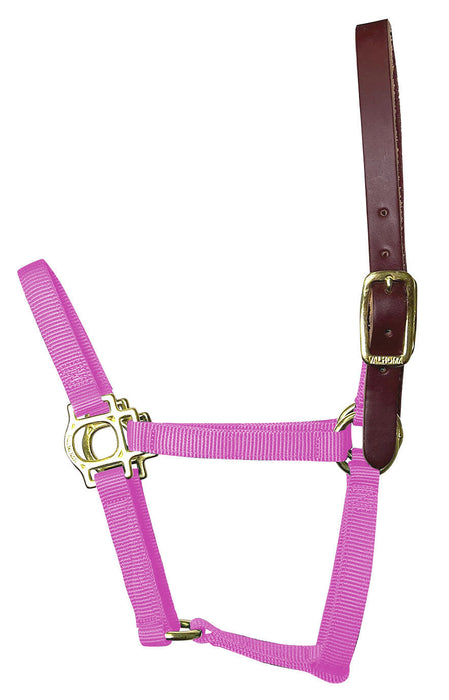 Valhoma Foal & Yearling Premium Breakaway Nylon Halter with Leather Crown - Hot Pink Foal Hot Pink