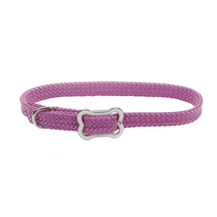 Sunburst Dog Collar with Bone Buckle - Orchid Small - 3/8" x 12" 