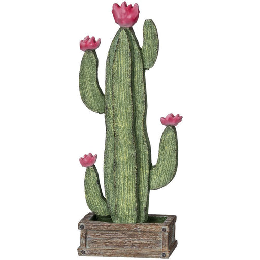 Tabletop Cactus with Pink Blooms -   