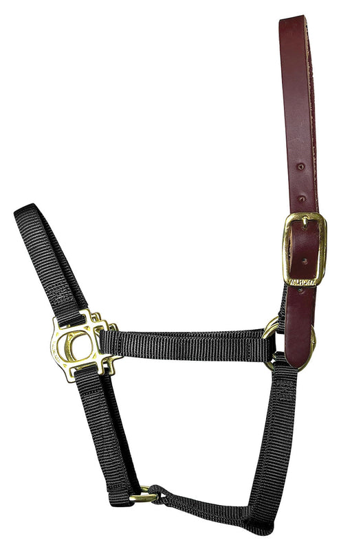 Valhoma Premium Breakaway Nylon Halter with Leather Crown - BlackSmall