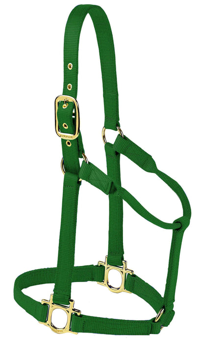 Valhoma Premium Nylon Halter - Hunter GreenMedium