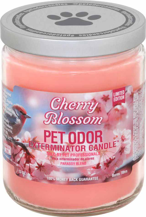 Pet Odor Exterminator Candle, Cherry Blossom, 13oz -   